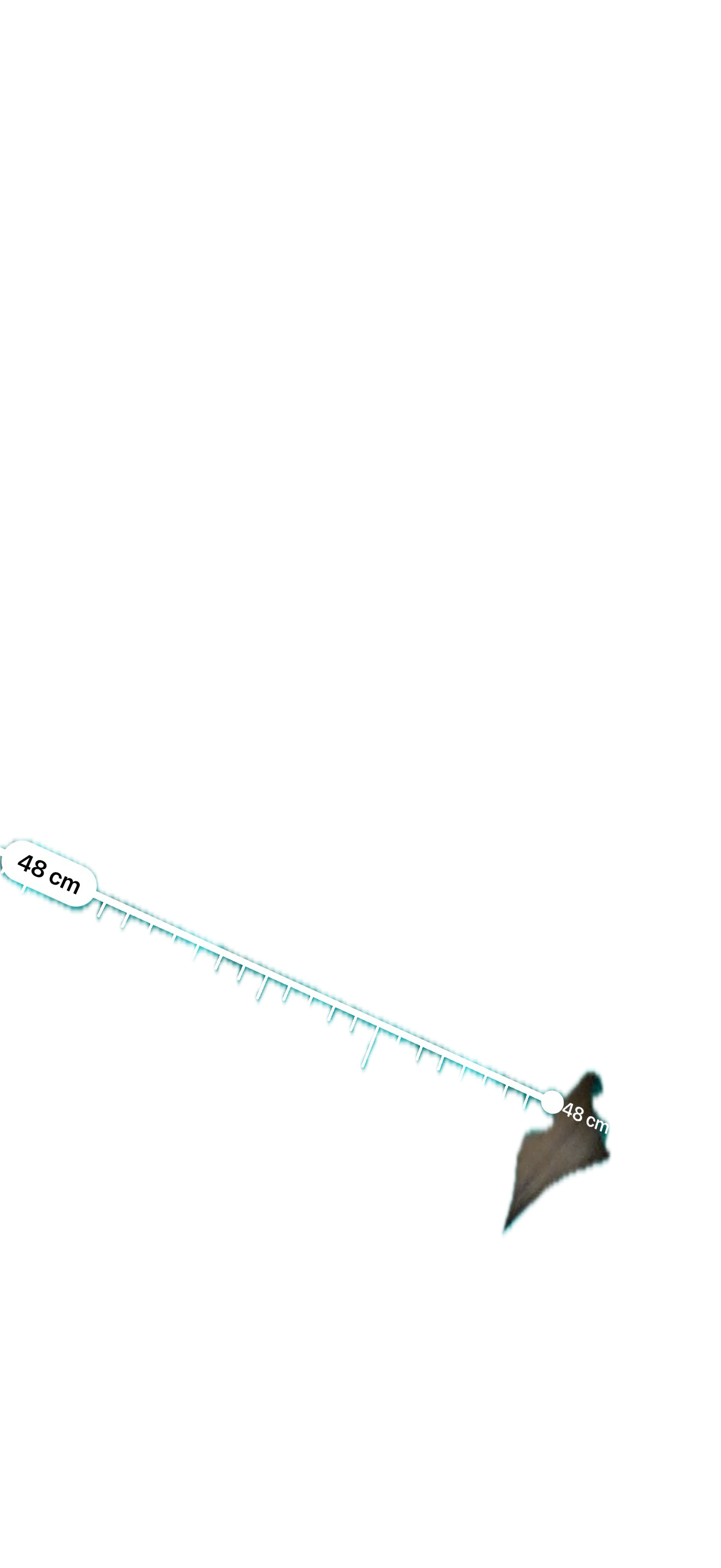 Playera Lululemon talla 12 color verde tela Vitasea™